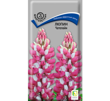 Люпин Чателайн (1 г) /Поиск/