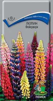 Люпин Фейерверк (1 г) /Поиск/