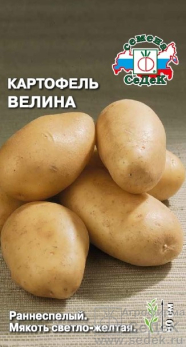 Картофель Велина /Седек/