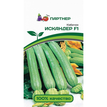 Кабачок Искандер F1 (5шт) /Партнер/