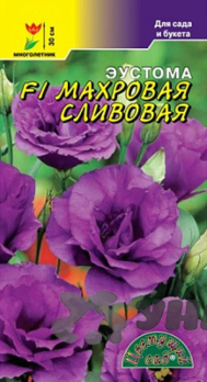 Эустома карликовая махровая Сливовая /Цветущий сад/