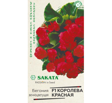 Бегония вечноцветущая Королева красная F1 4шт. /Гавриш/ SAKATA